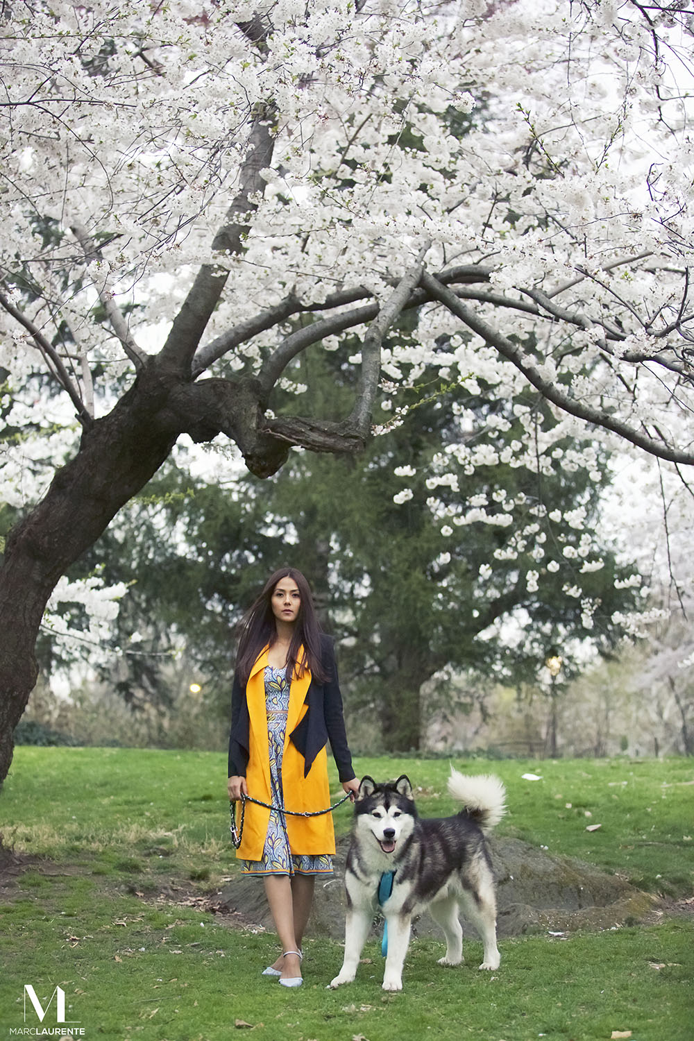 Fashion 20